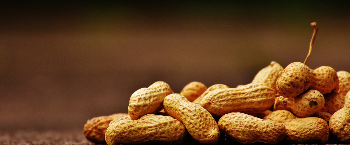 Die Herkunft der Erdnuss - Wo und wie sie wächst