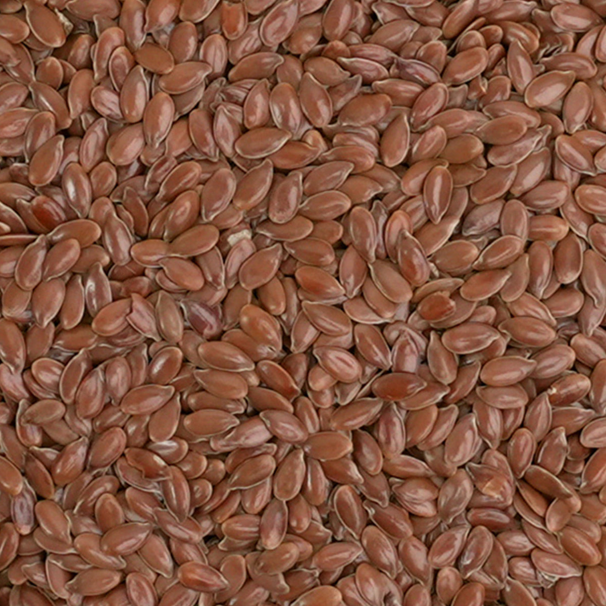 Leinsamen-naturbelassen,hoher Gehalt an Ballaststoffen,von Natur aus glutenfrei und vegan