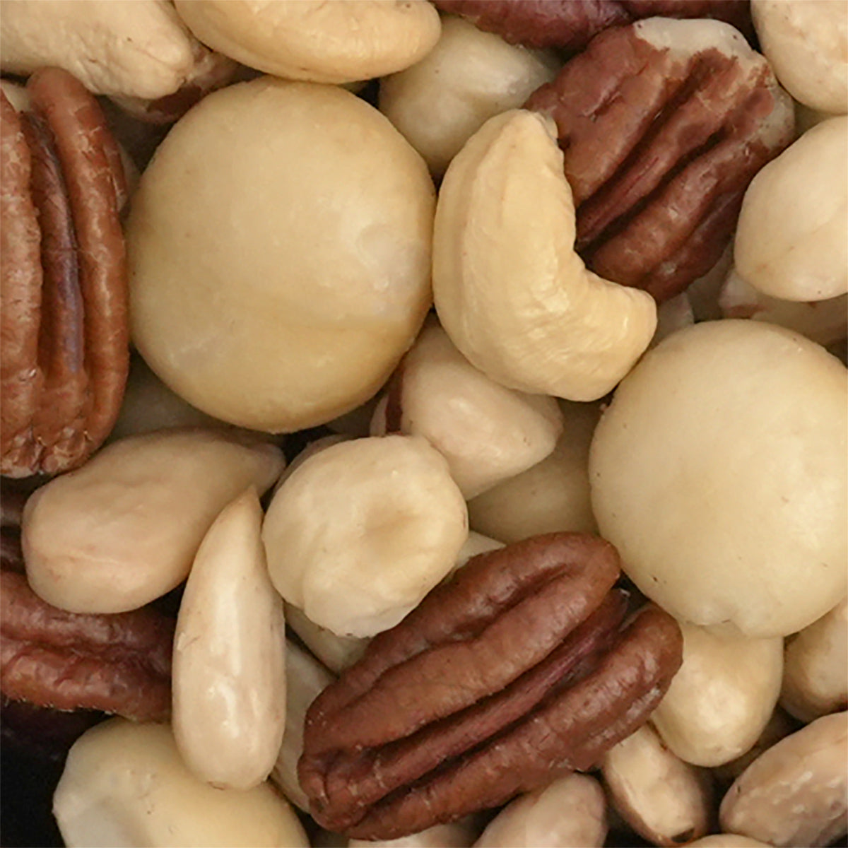 Nahaufnahme Nussmischung "Australian Gold ohne Salz" aus Haselnüsse, Mandeln, Cashews, Pekannüsse und Macadamia