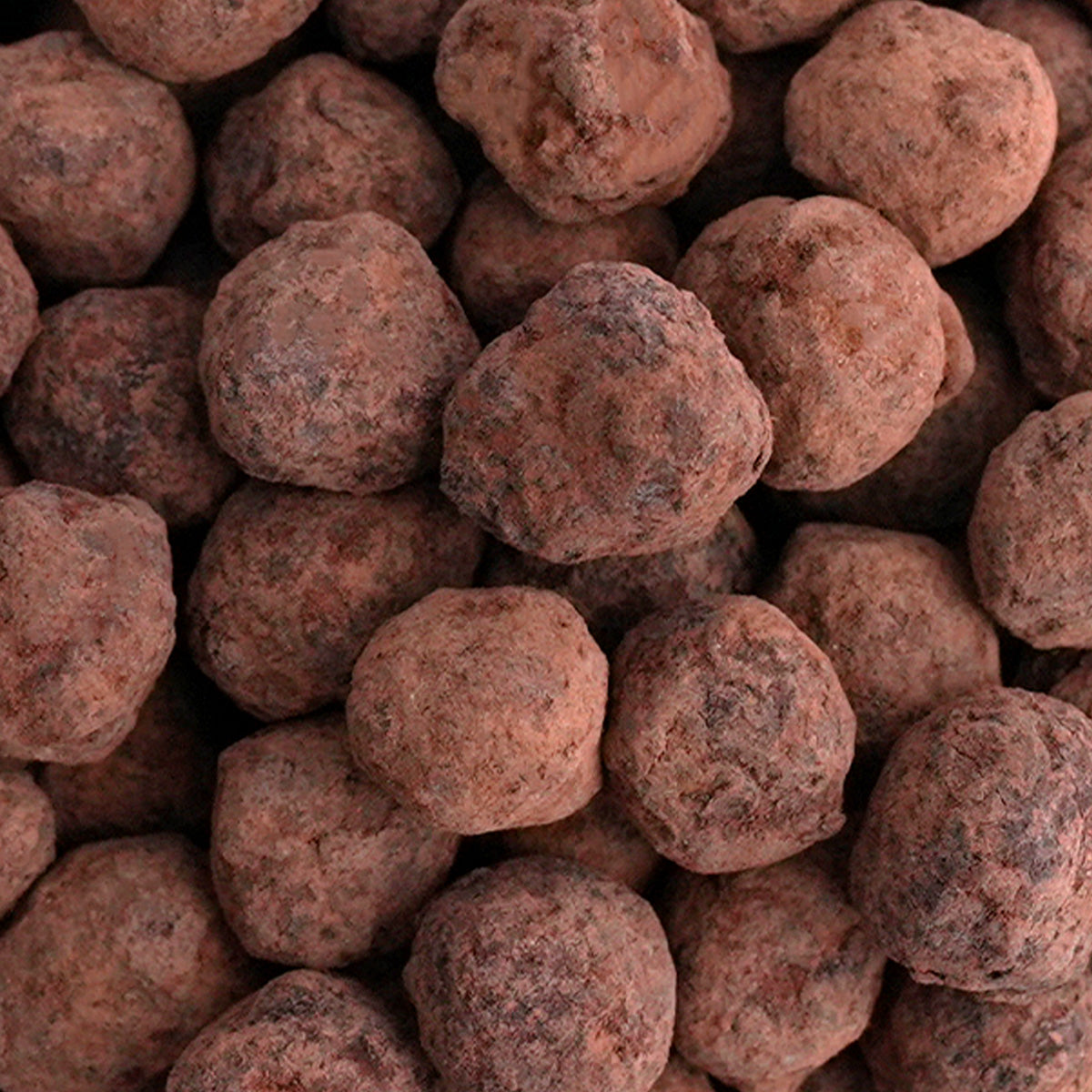 Nahaufnahme "Pure Chocolate Hazelnuts" Gebrannte Haselnüsse umhüllt von edlem Kakao