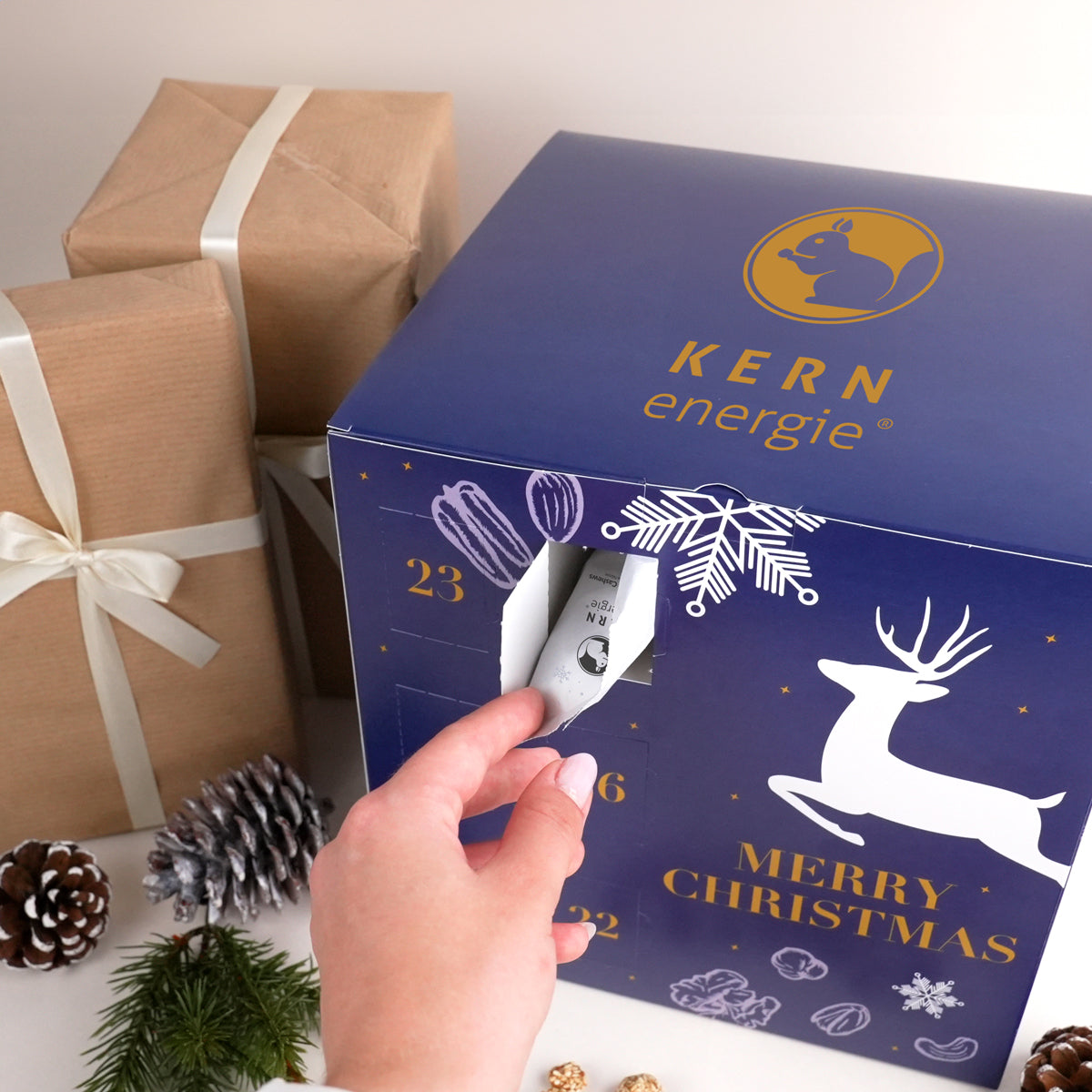 Würfel Adventskalender 2025 - Exklusive Nüsse & Nussmischungen