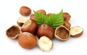 The Harvest of ripened Hazelnuts takes place in August.