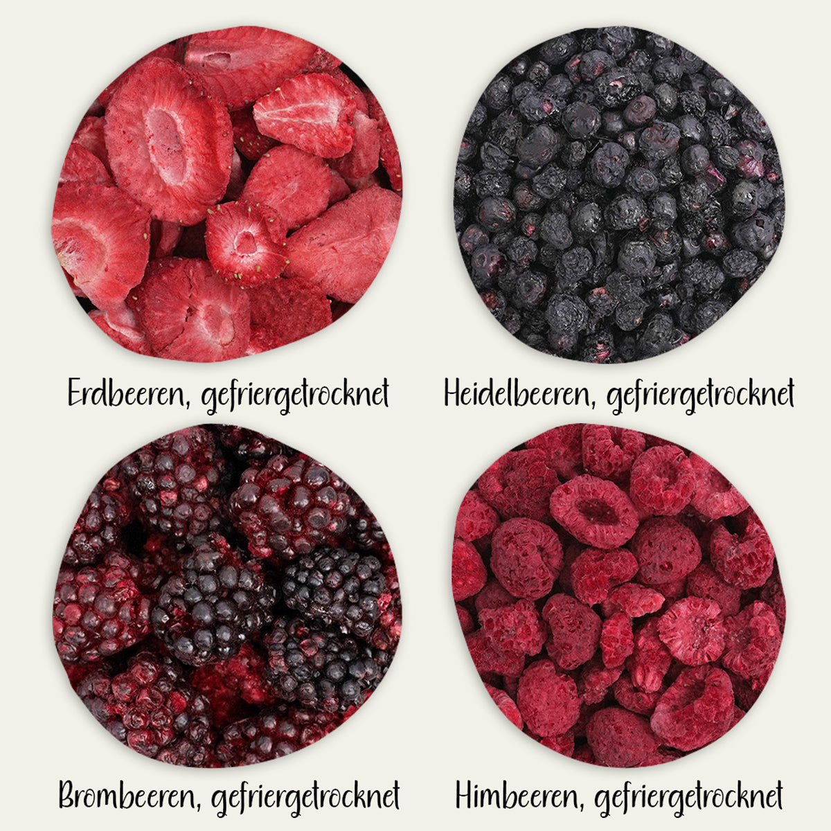 Beeren Power Bundle – 4 gefriergetrocknete Früchte