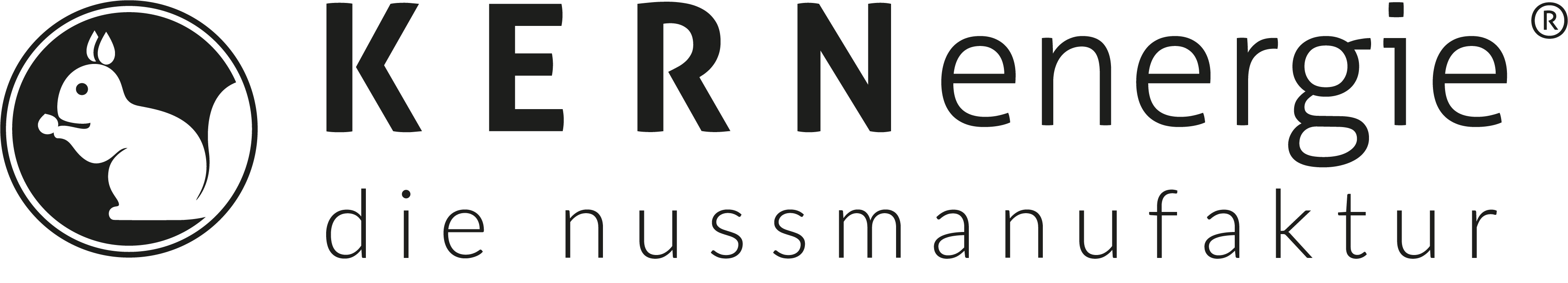 KERNenergie GmbH