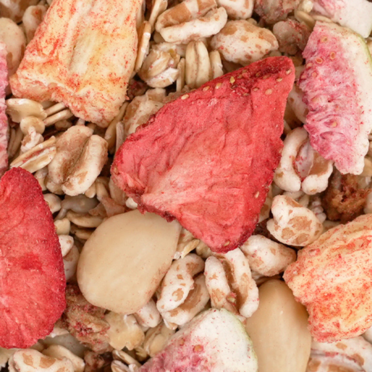 Nahaufnahme Paradiesisches Müsli mit Nüssen, Granola und Trockenfrüchten