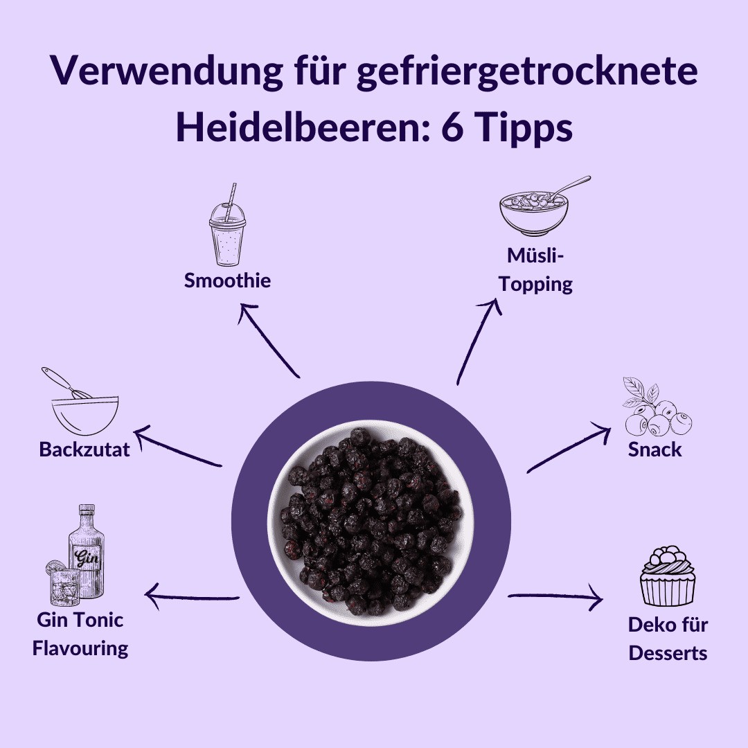 verwendungstipps Heidelbeeren