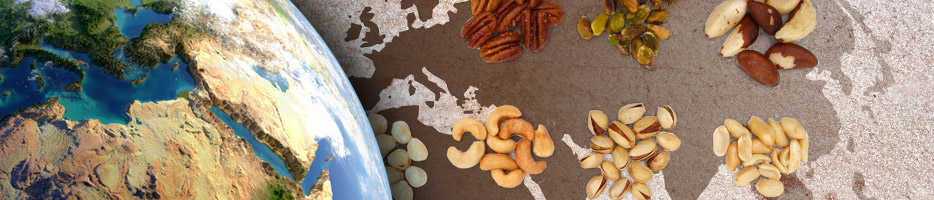 Beste Nüsse aus den besten Anbaugebieten der Welt!