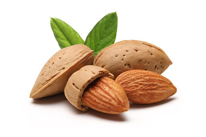 Our KERNenergie Almonds come from Spain.
