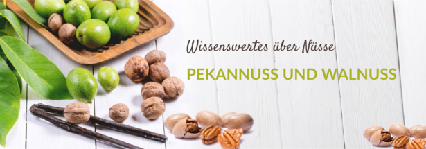 Wissenswertes über Nüsse: Pekannuss und Walnuss