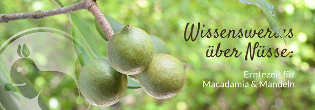 Erntezeit: Dem Ursprung der Macadamia & Mandeln auf der Spur