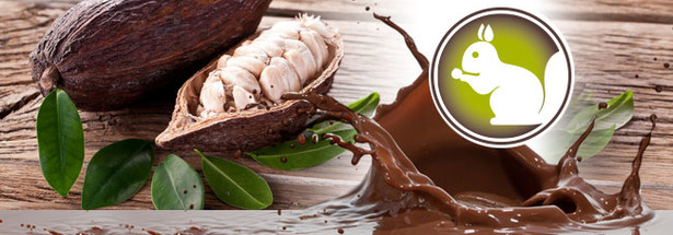 Von der Kakaobohne zur Schokolade
