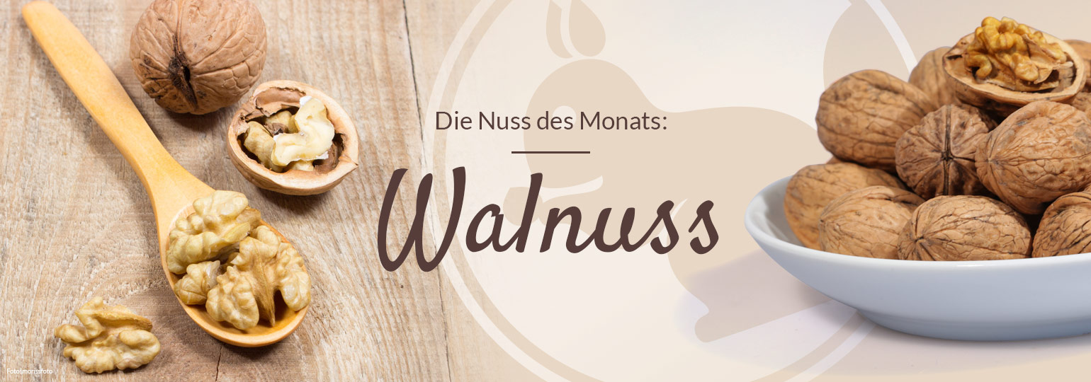 Nuss des Monats: Walnuss