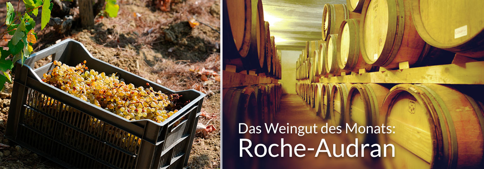 Das Weingut des Monats: Roche-Audran