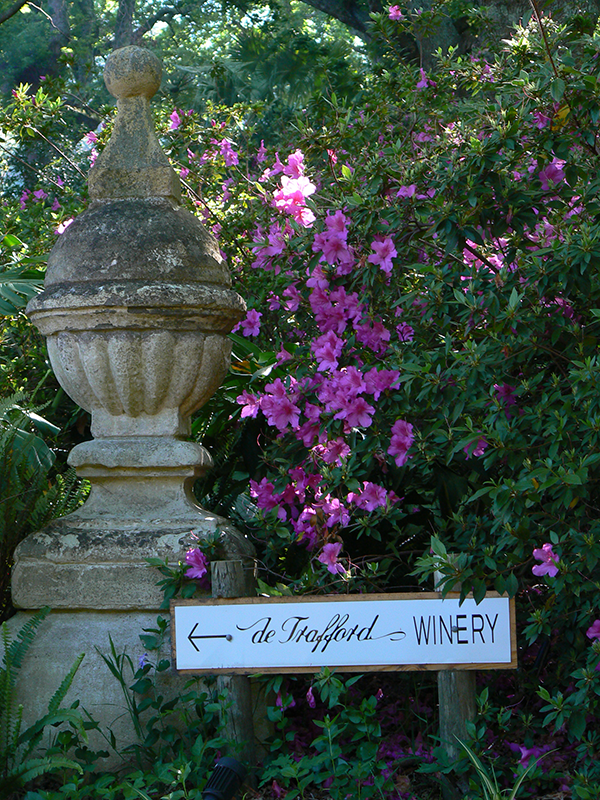 Weingut de Trafford in Stellenbosch