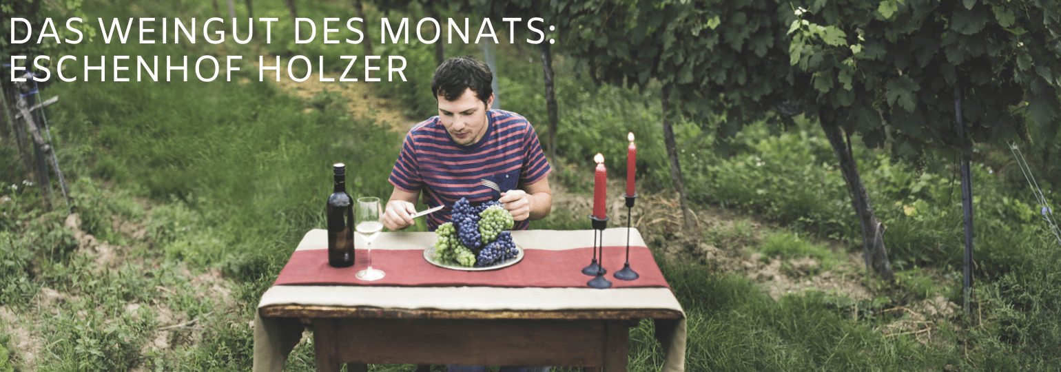 Das Weingut des Monats: Weingut Eschenhof Holzer