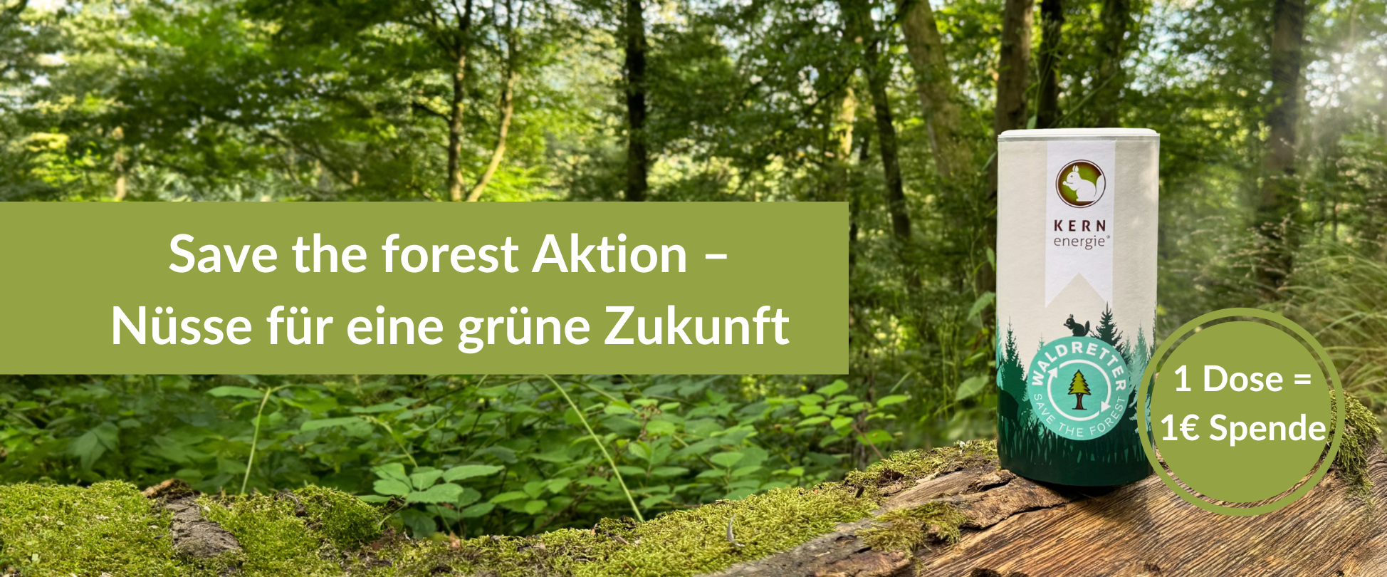 Save the forest - Nüsse für eine grüne Zukunft